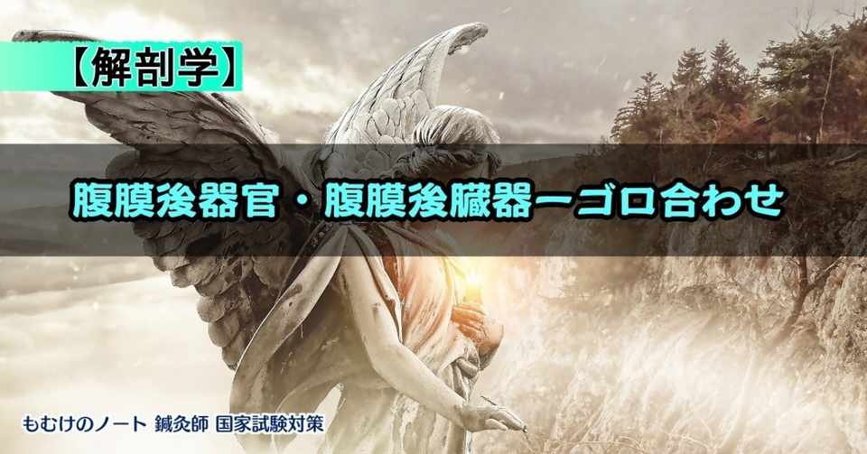 解剖学 腹膜後器官 腹膜後臓器の語呂 ゴロ 合わせ もぬけ 国試対策 鍼 柔 あ Note