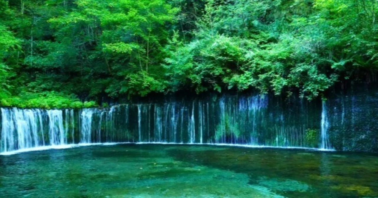 湯水 の よう に(01)