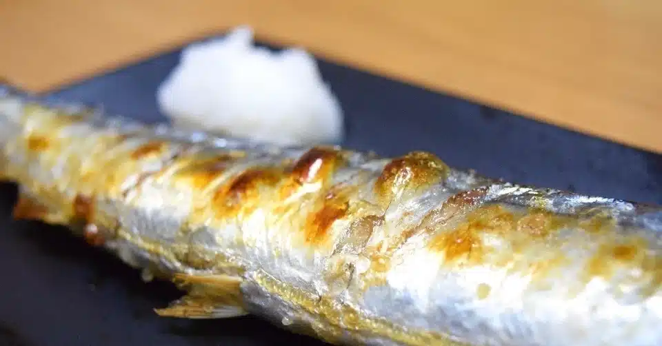 魚を綺麗に食べる人に なりたかったのかも分からない 楠木こち Note