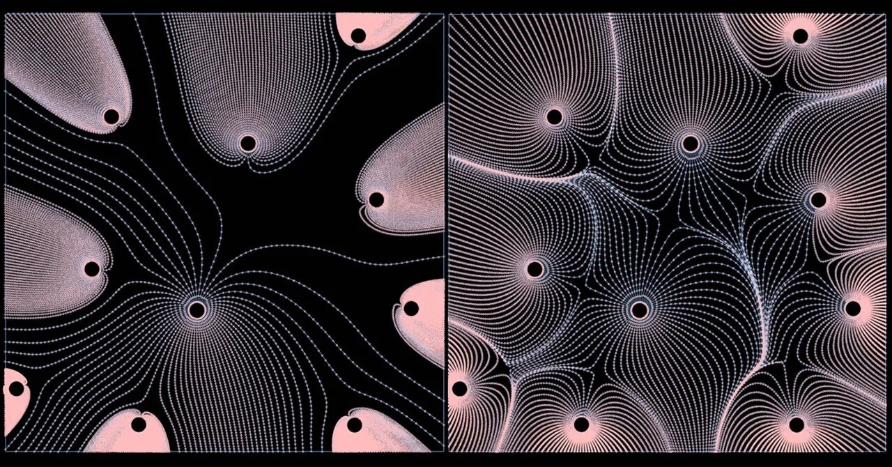 [Workflow] Field Line 2d Pattern - Rhino Grasshopper｜risakagami