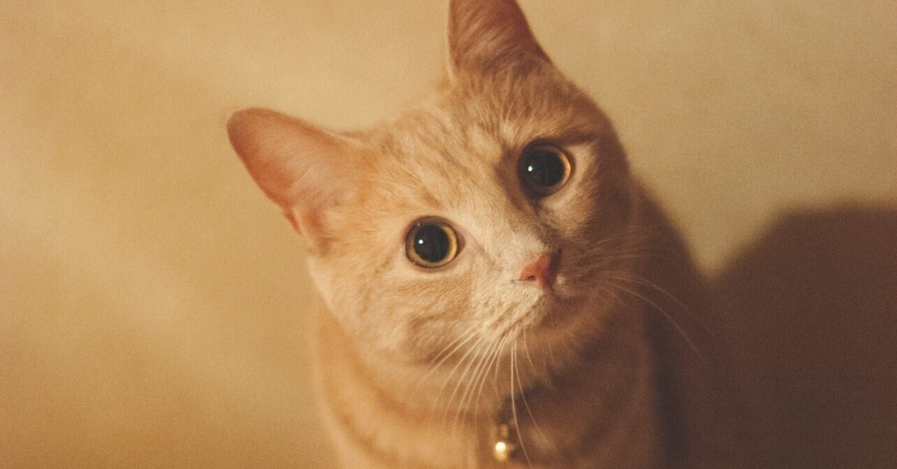 Nikon - ❤️◇Nikon D70 ★ベストセラー入門機♪ ★CFカード付 Nikon D70はCCD機なだけじゃなく、名機といえる出来だった