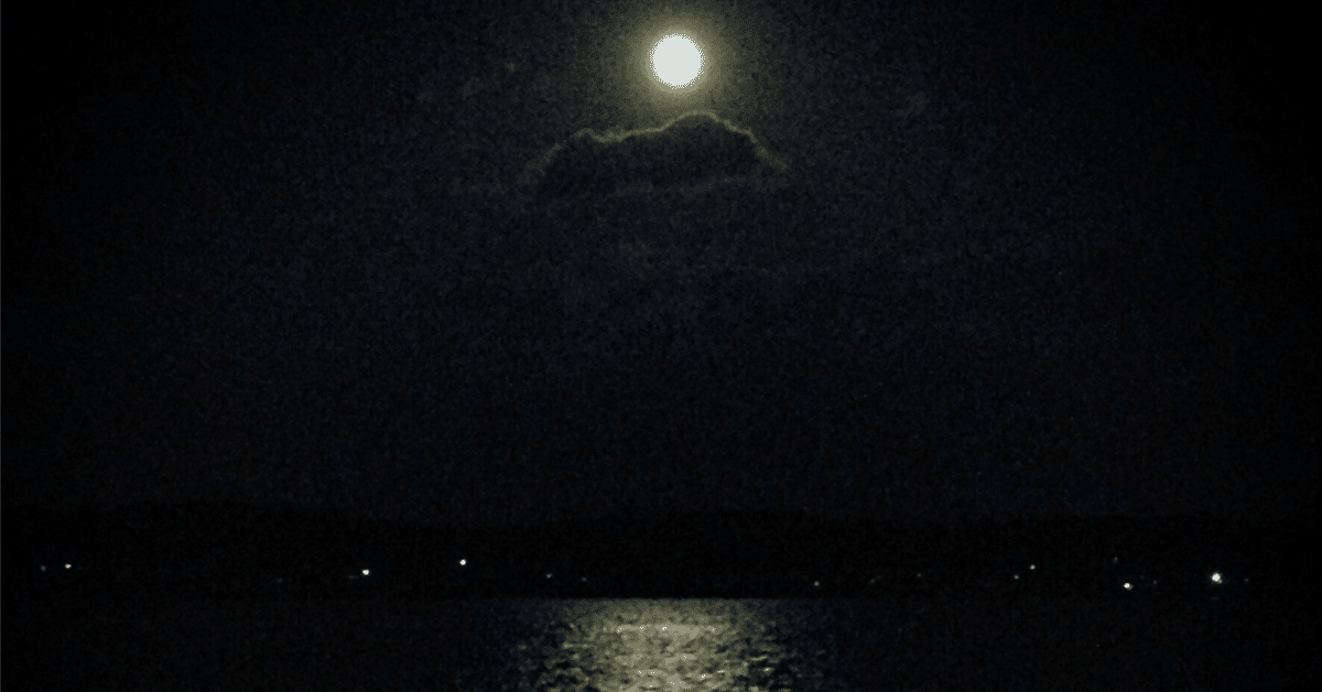 Clair de lune(Moonlight)｜Reijiro Kaneko