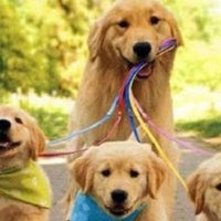 あーそういうことね 完全に理解したの心理学 分かってない ノブ 心理学 Note