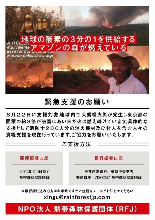 泣いていた町、燃えつづけた森｜片平里菜