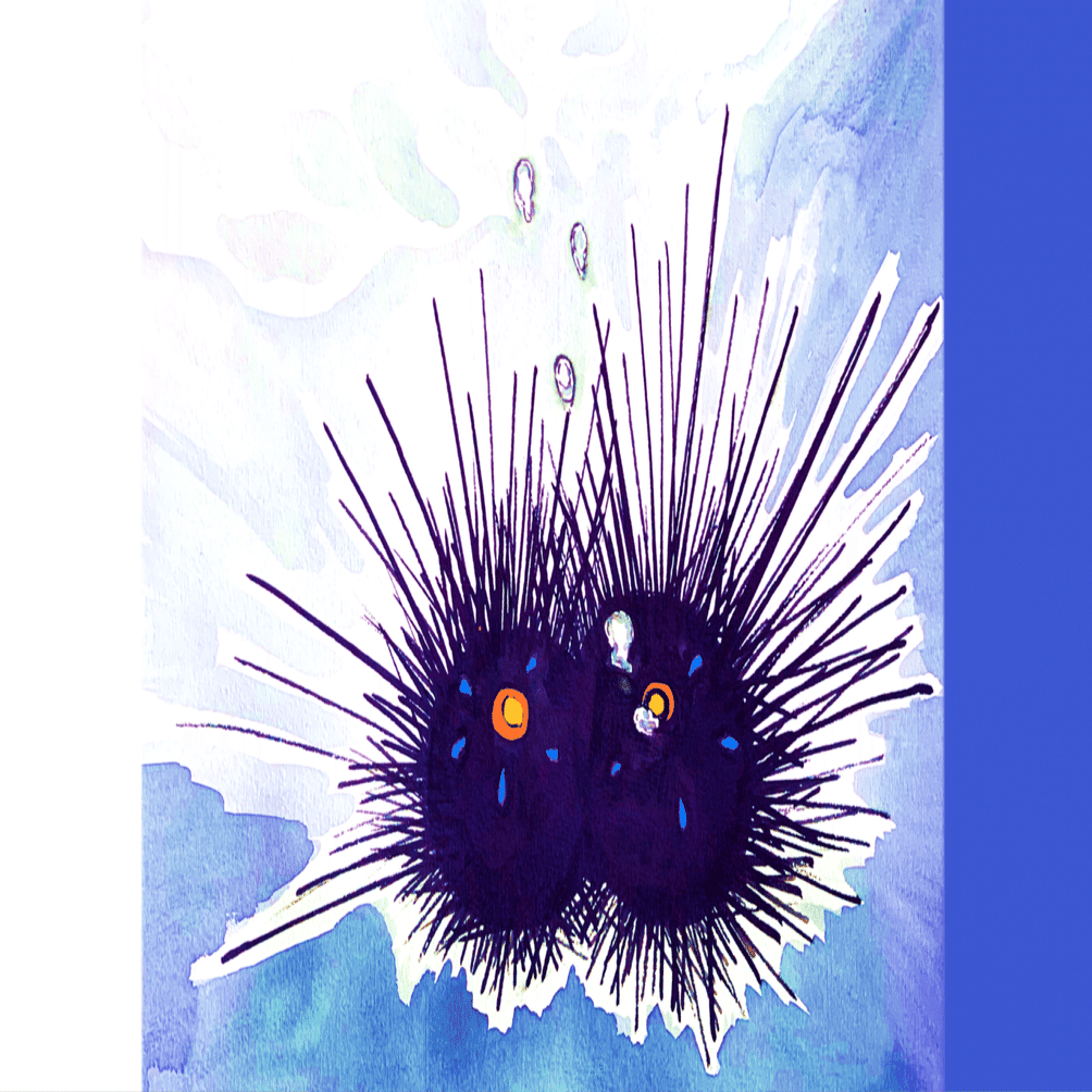 水生無脊椎動物　世界大博物図鑑 別巻2　荒俣宏　平凡社 水生無脊椎動物 (世界大博物図鑑(別巻2)) | 荒俣 宏 |本 | 通販 | Amazon