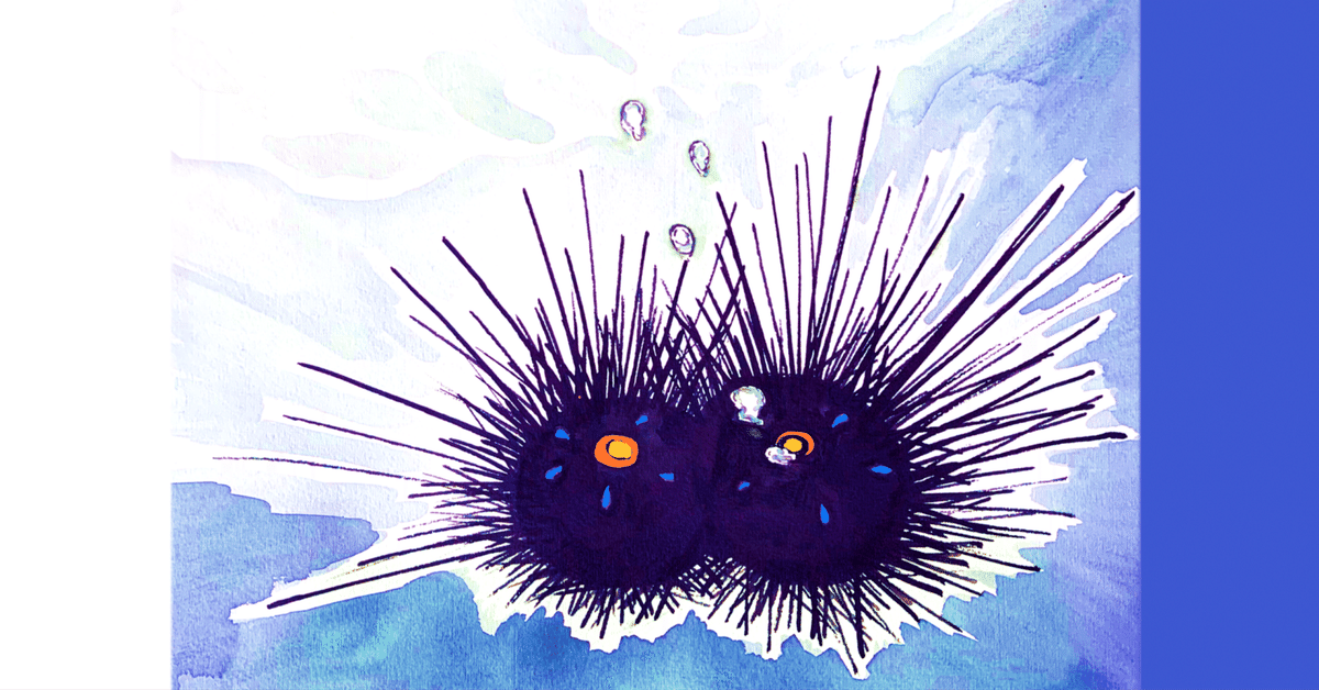 水生無脊椎動物 (世界大博物図鑑(別巻2))｜弟切千隼
