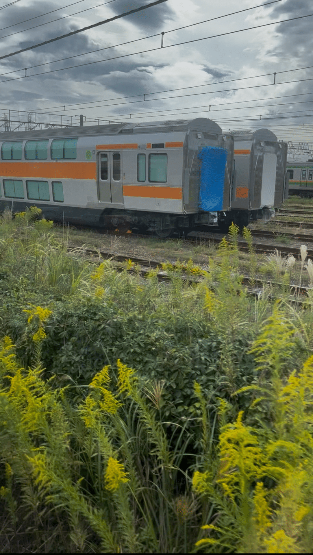 国府津車両センター】最近話題の中央線用グリーン車があった