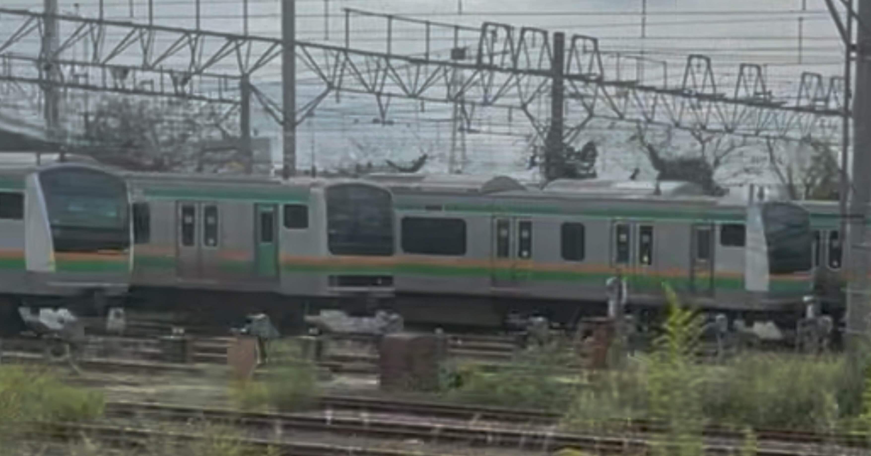 国府津車両センター】最近話題の中央線用グリーン車があった