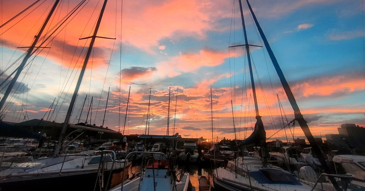 まりん 11/3使用 丸山製作所の噴霧器アクセサリ428004ならボクらの農業EC