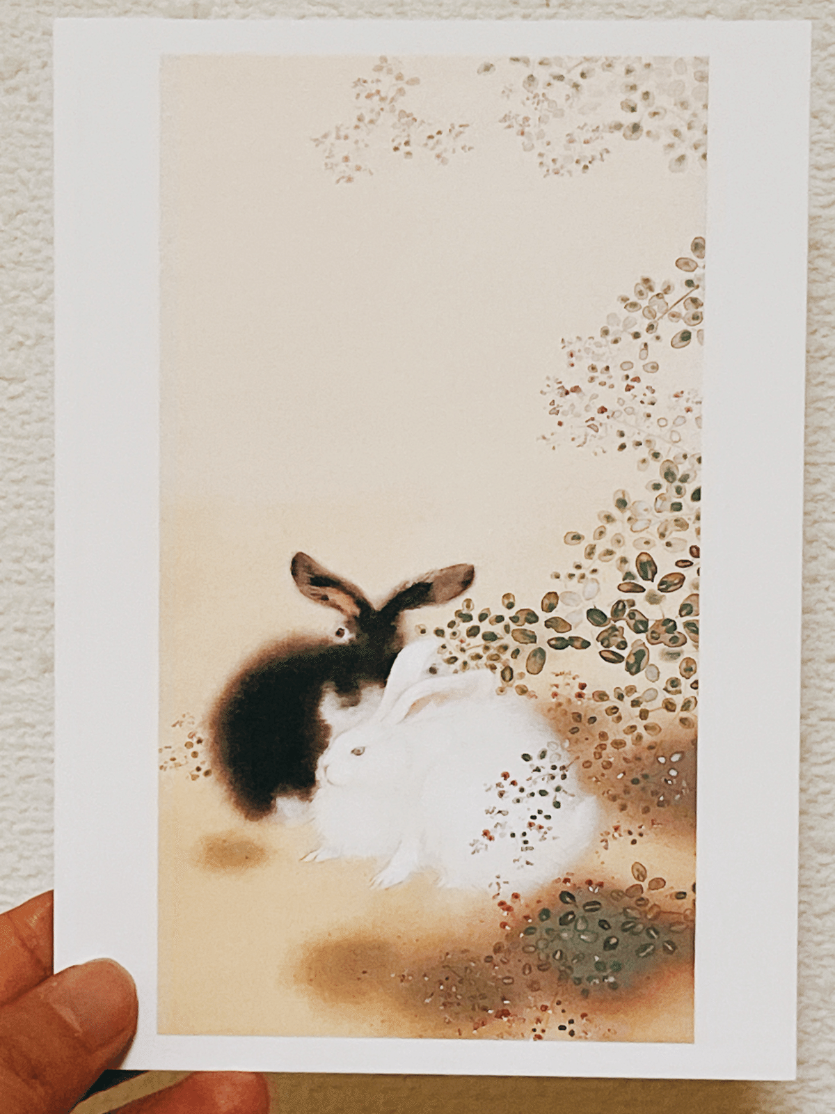 希少 豪華 軸 おもてなし 絵 青鳥 瑠璃 花 中国 風水 美術 骨董