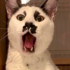 吉井和哉さんプロデュース香水、KamiYui No.3が届きました