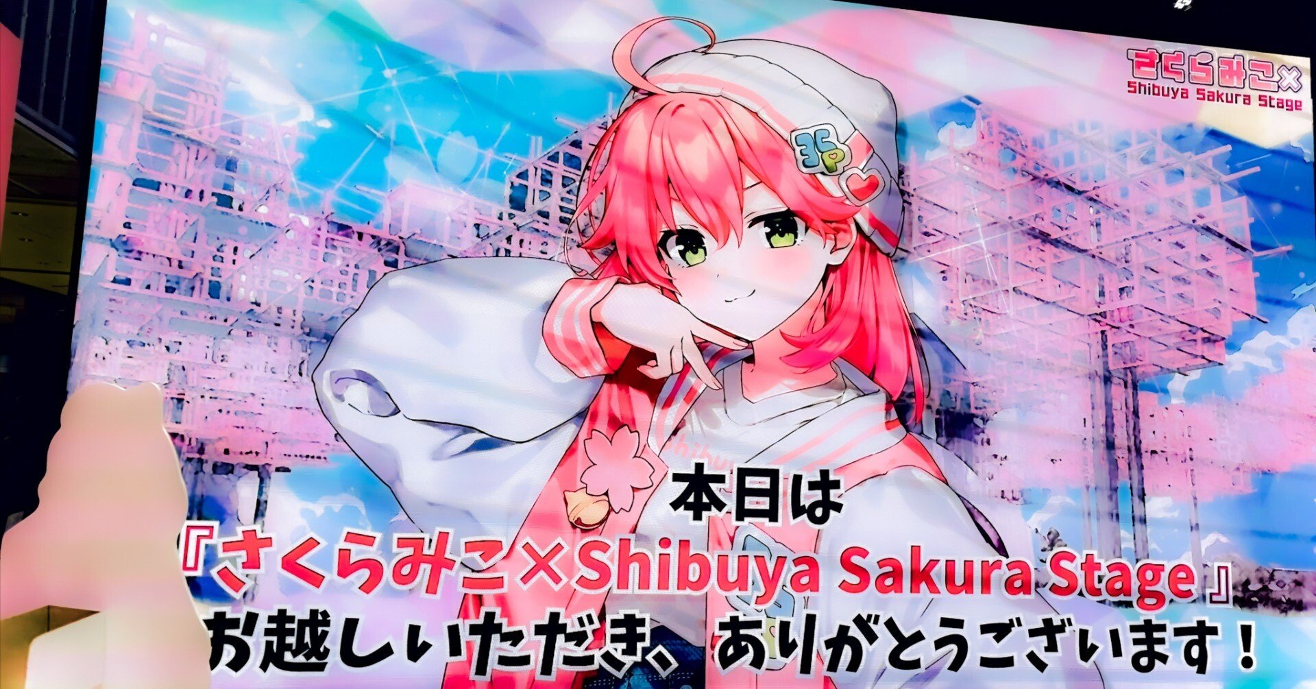 さくらみこ ホロライブ ガラポン 渋谷さくらステージ 特賞　C賞 ホロライブ さくらみこ さくらステージ ガラポン 特賞 アクリル