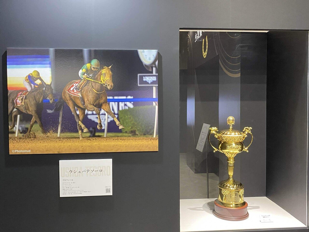 JRA(日本中央競馬会）70周年特別展示に行ってみたよ・・・初めての東京