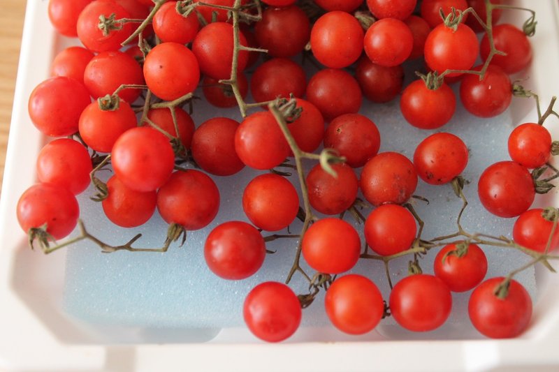 マイクロトマトのグラッセ 樋口直哉 Travelingfoodlab Note マイクロトマトのグラッセ 樋口直哉 Travelingfoodlab Note