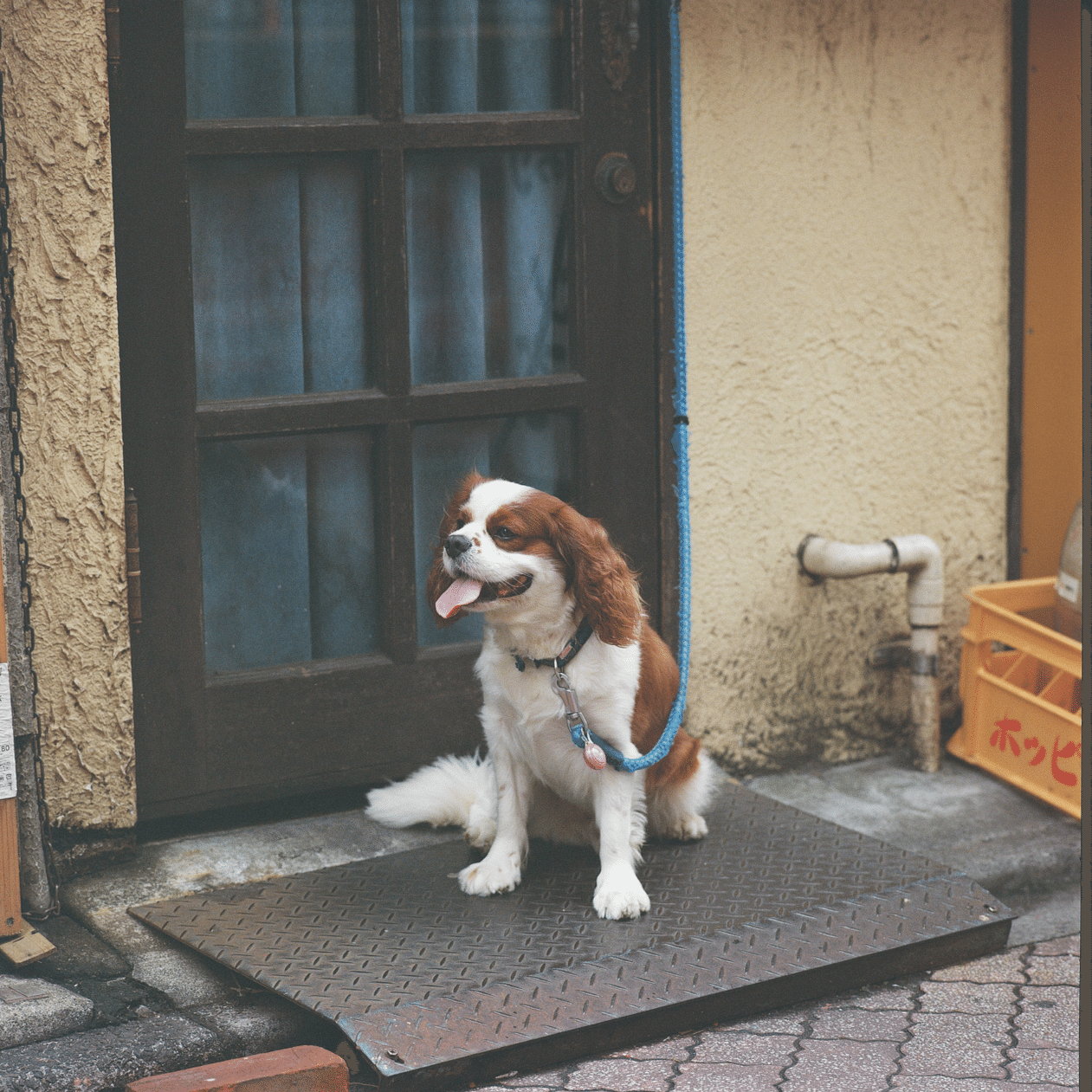 美品 ハッセルブラッド 500ELM セット 美品 ハッセルブラッド 500ELM セット Re:八万円台から始める