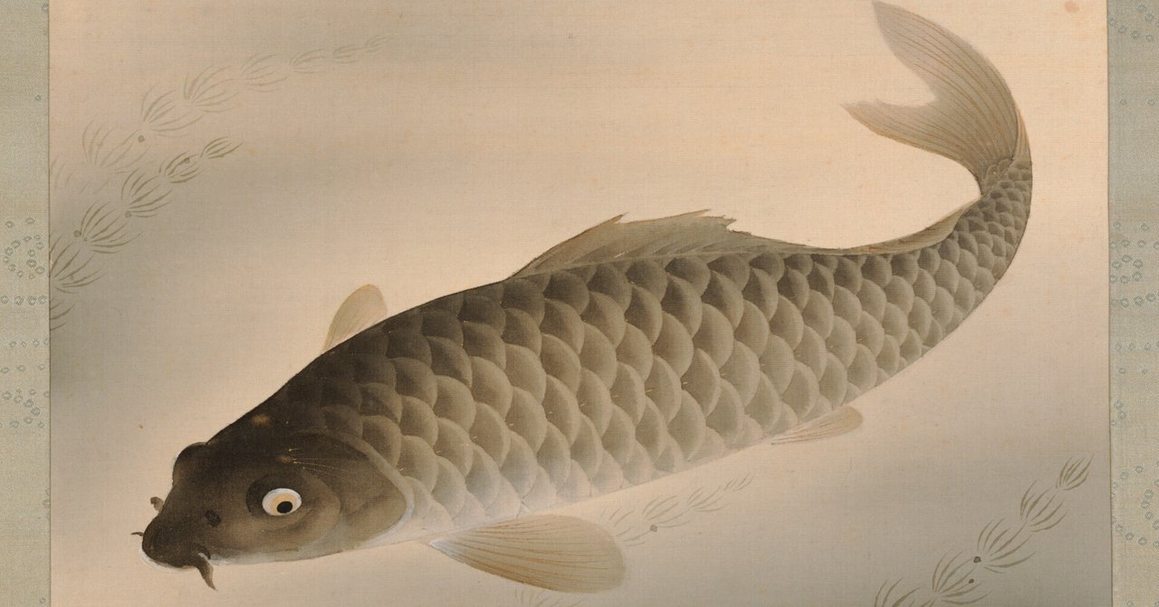 rectangle_large_type_2_f1aac94