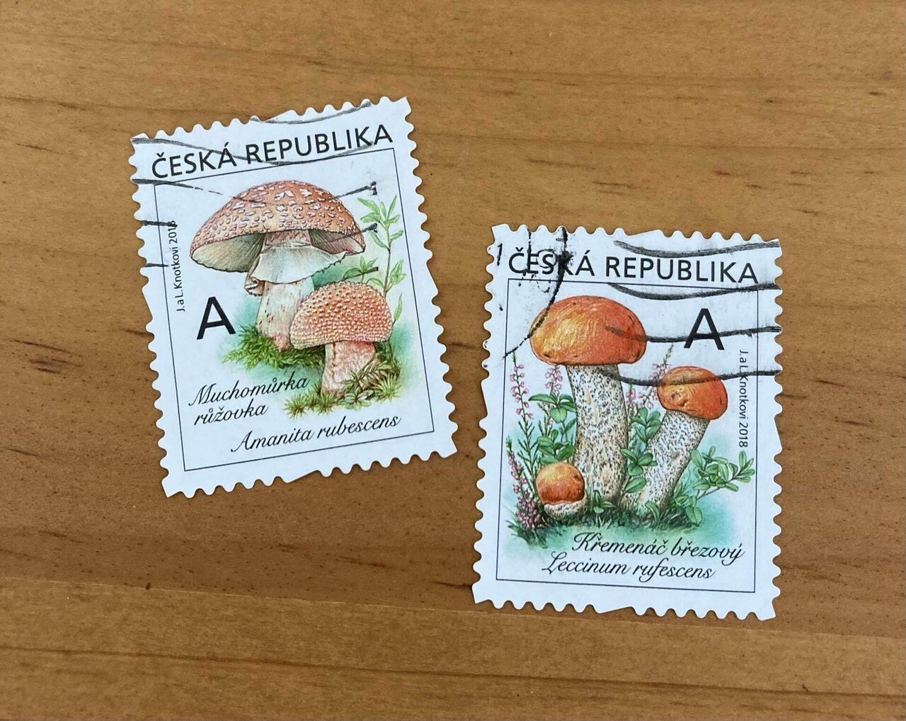切手のお話#10 秋ですね… 海外のキノコ切手｜文子 （フミコ）