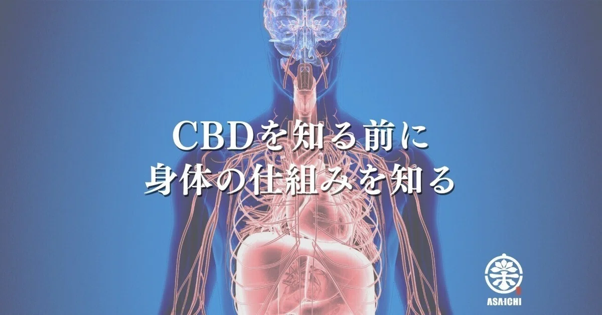 CBDを知る前に、身体の仕組みを知る|麻市 ASA-ICHI