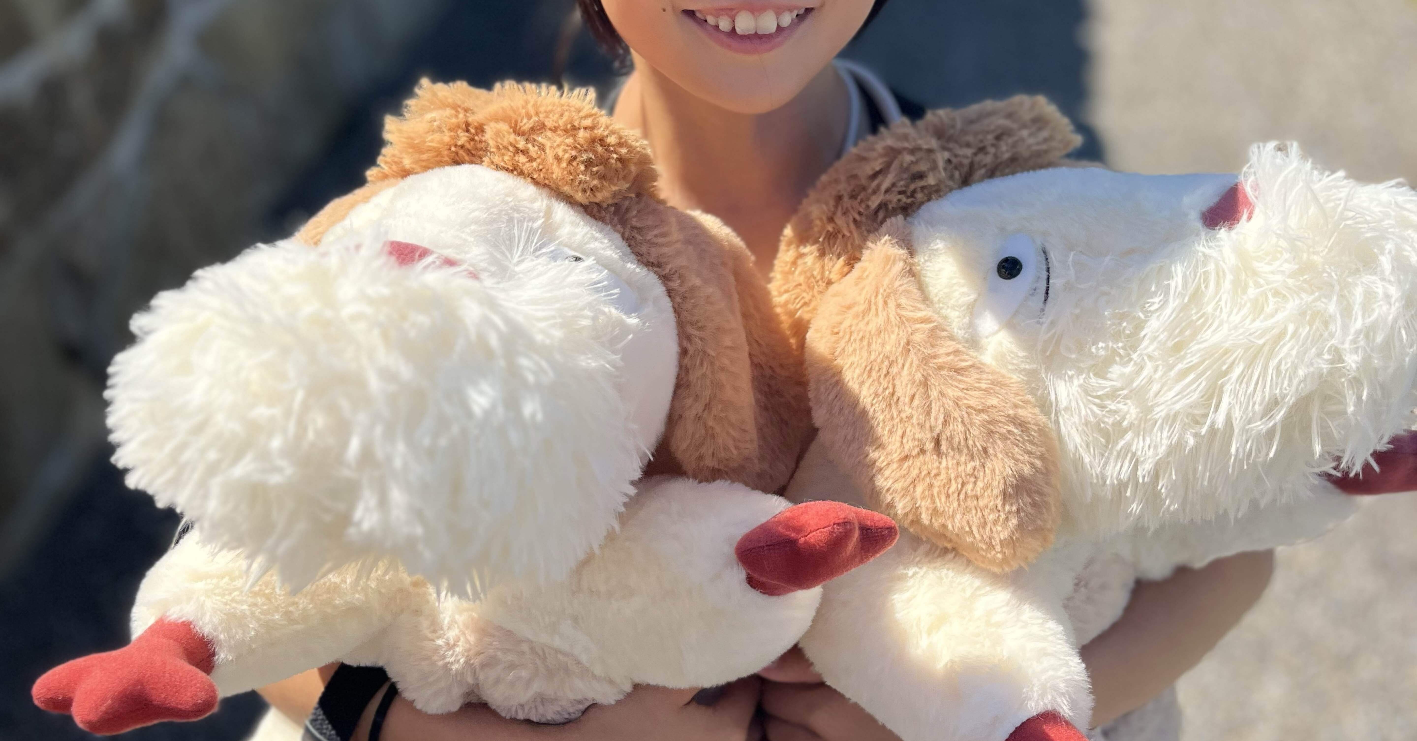 9a3a3111a1d8d95da5258d86194de0