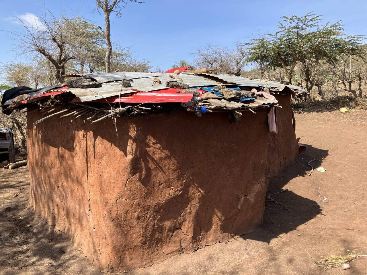 希少、ケニア訪問時購入バッファロー角！マサイ族から本物 希少