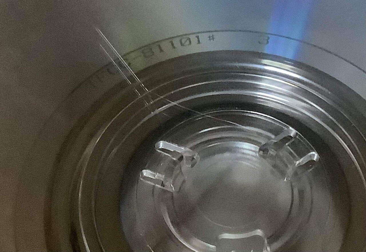 BUMP OF CHICKEN】遂に届いたバンプオブチキン新アルバム『Iris』良品