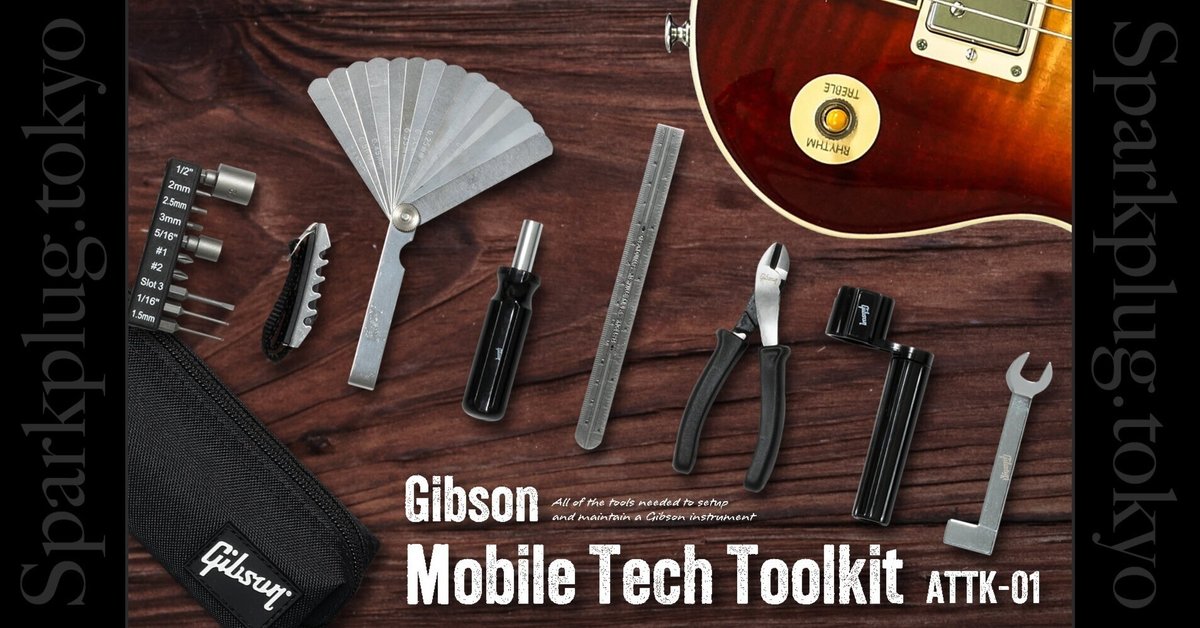 Amazon.com: TIMDAM 79Pcs Guitar Maintenance Kit - Complete
