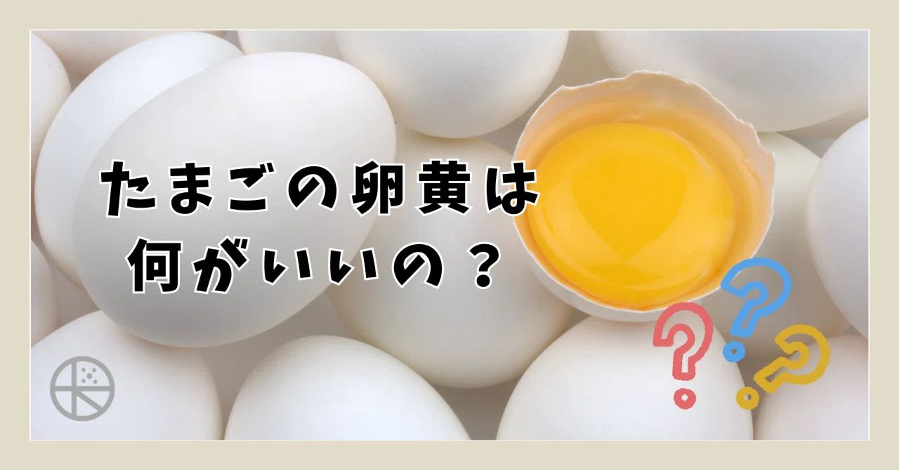 たまごの卵黄は何がいいの?|green&birdge