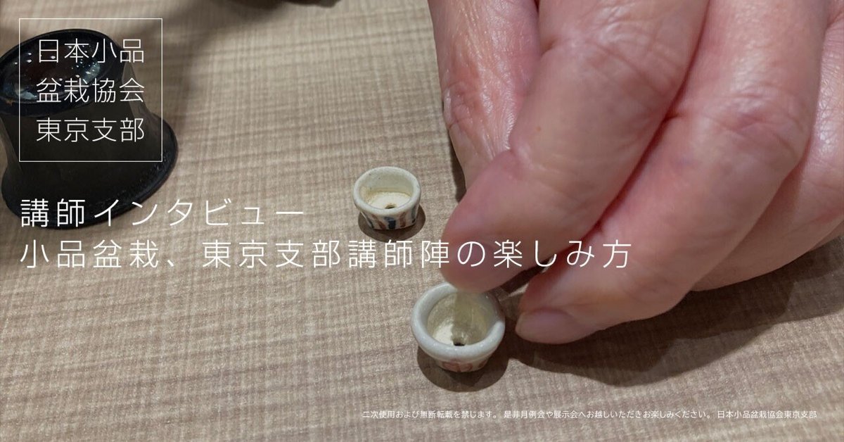 ランキングや新製品 中村是好鉢展春の便り6 （小品盆栽、東京支部講師陣の楽しみ方 盆栽