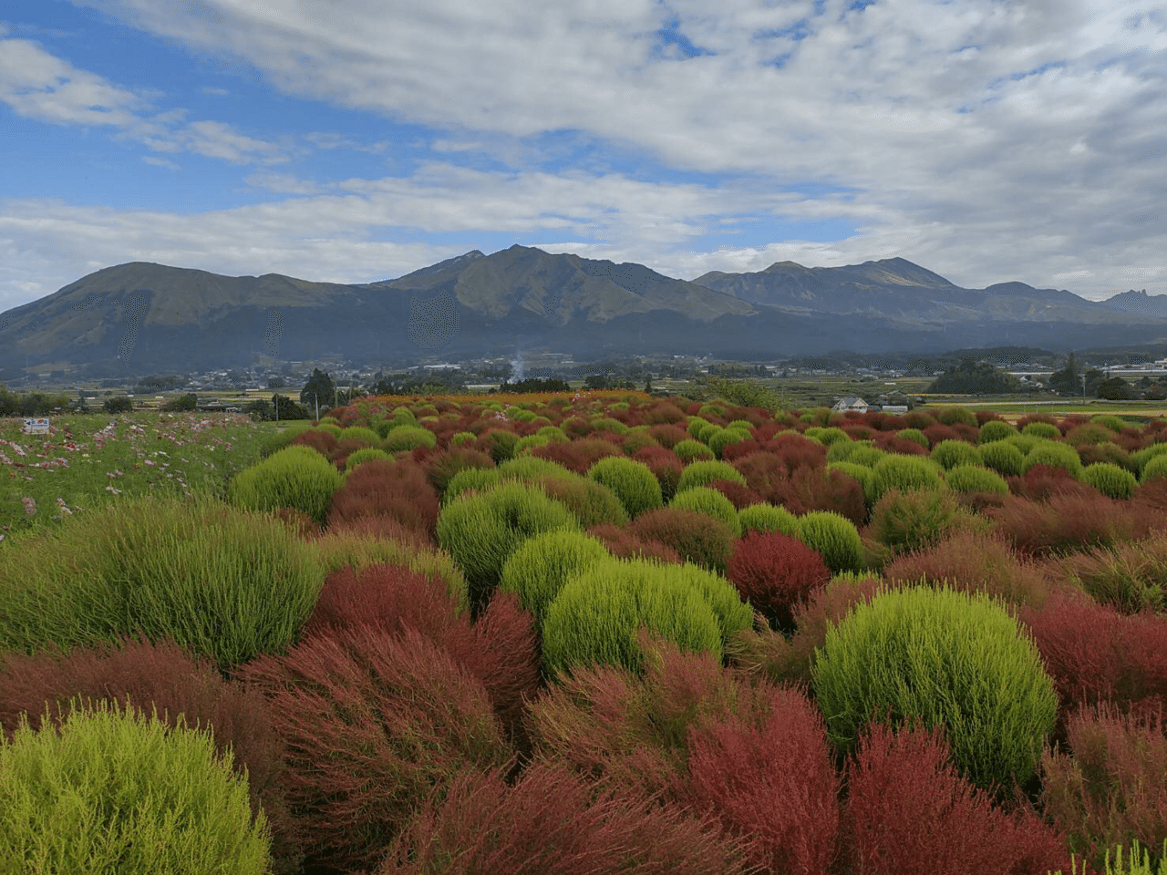 picture_pc_f706b968ac514f6cbfd