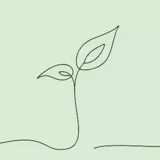 🌱MenTo森
