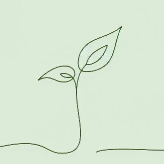 🌱MenTo森