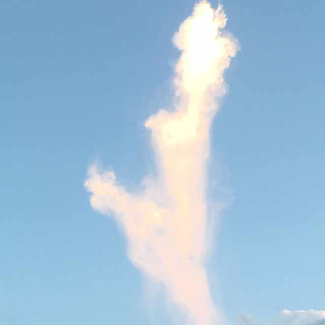 タロット 13 死神 佐久間三絵子 Note