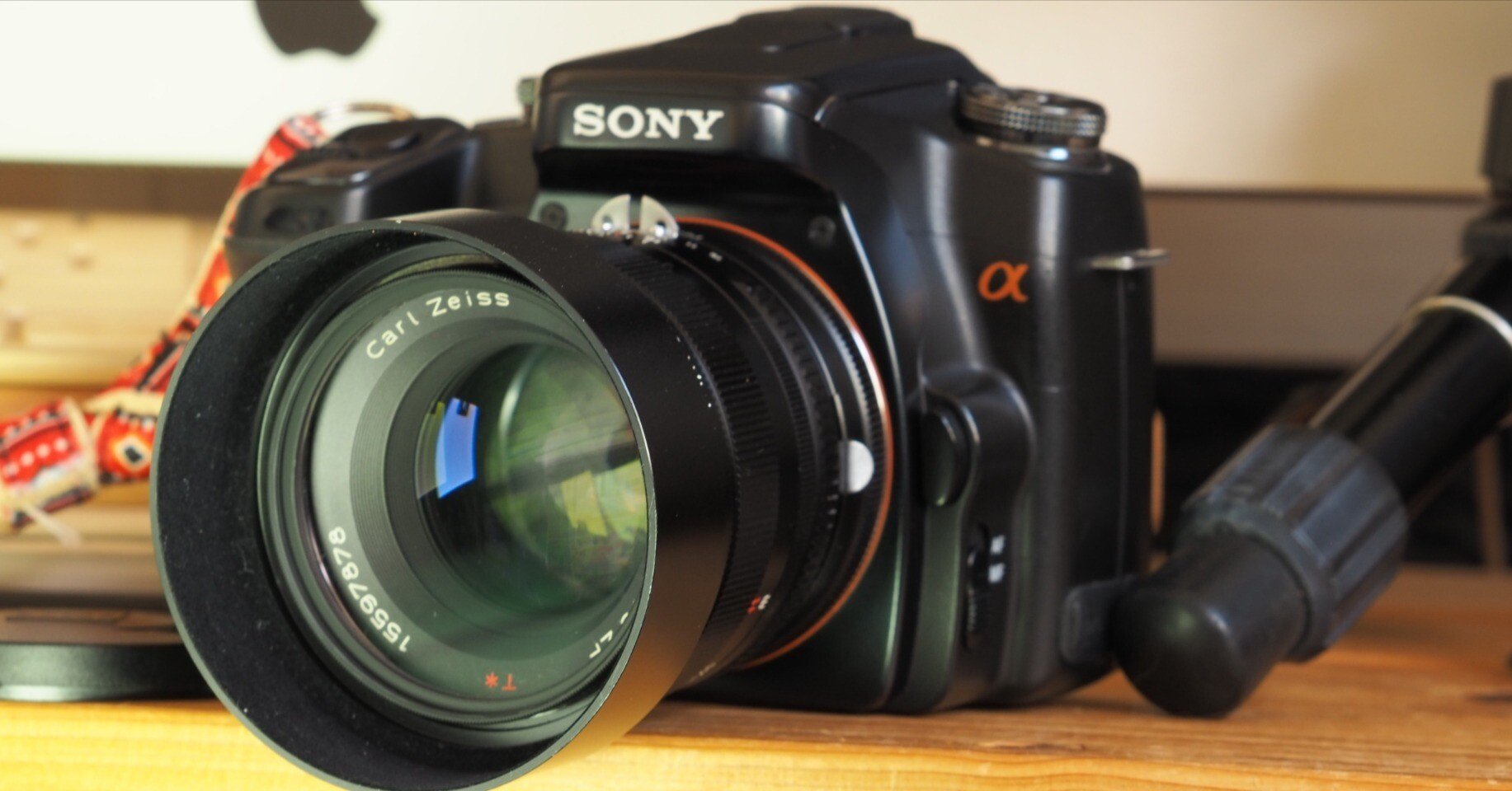 レンズ沼あれこれ：ソニーα100とCarlZeiss Planar 50mm F1.4ZF T