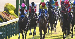菊花賞回顧：期待値にこだわった単勝勝負の行方は｜でぃくたす