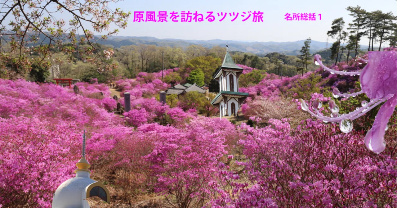 43．コバノミツバツツジの名所37ヶ所｜sasayan