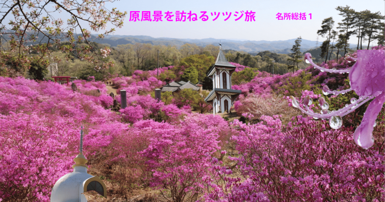 43．コバノミツバツツジの名所37ヶ所｜sasayan