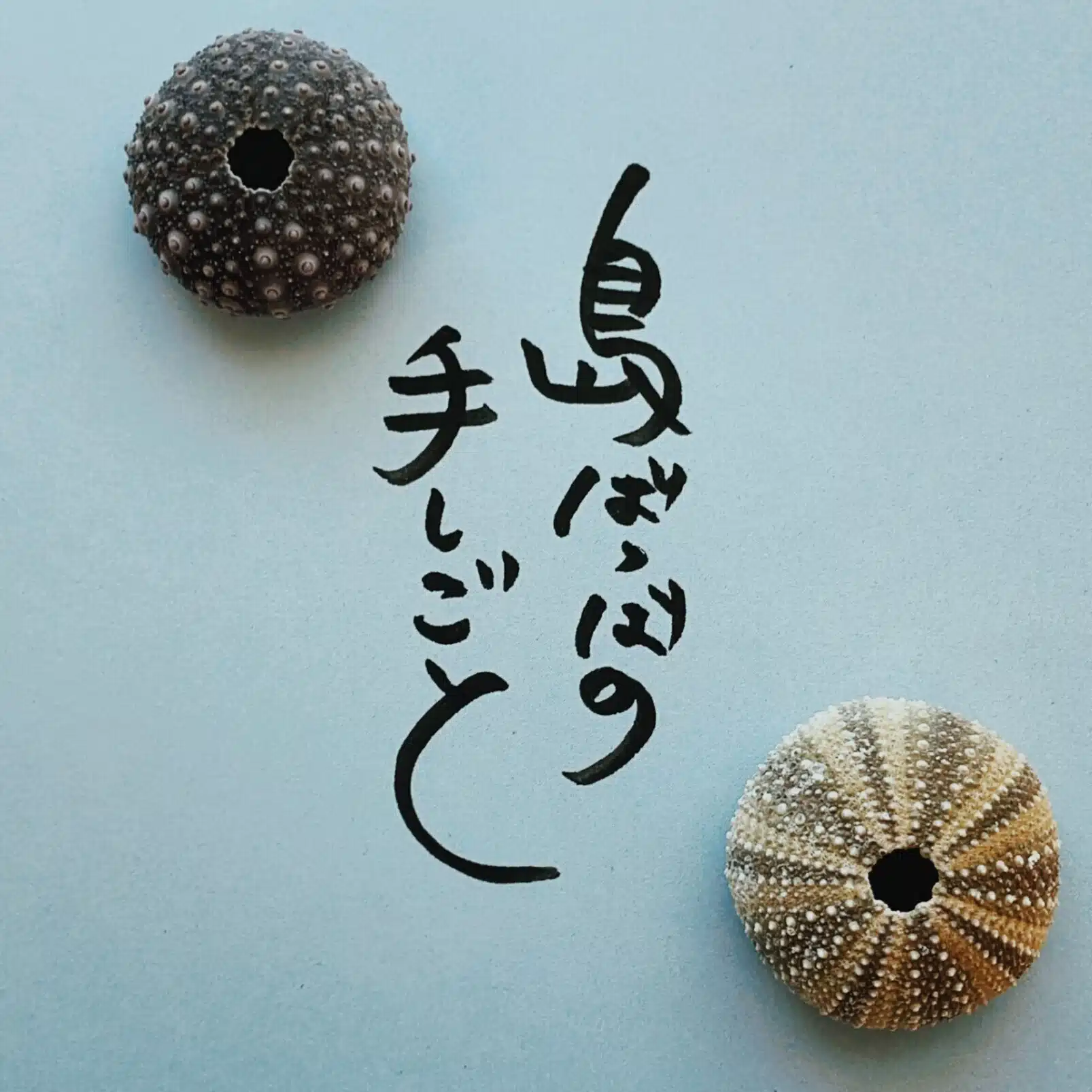 島ばっばの手しごと