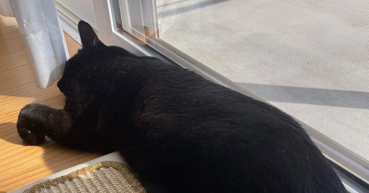 女子高生 肛門検査