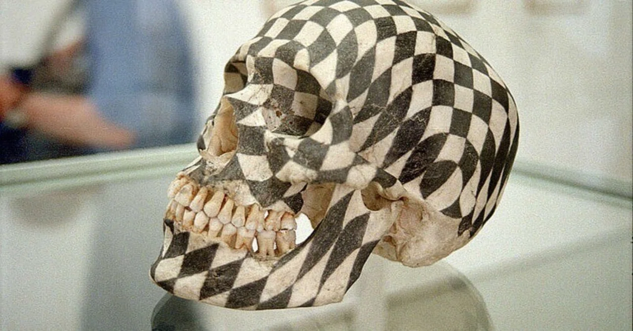 人間の頭蓋骨の塗装：ガブリエル・オロスコ｜artoday - chiaki