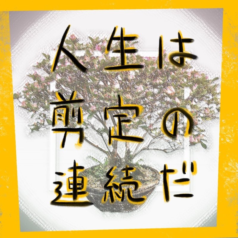 人生は剪定の連続だ 山吹 Note 人生は剪定の連続だ 山吹 Note