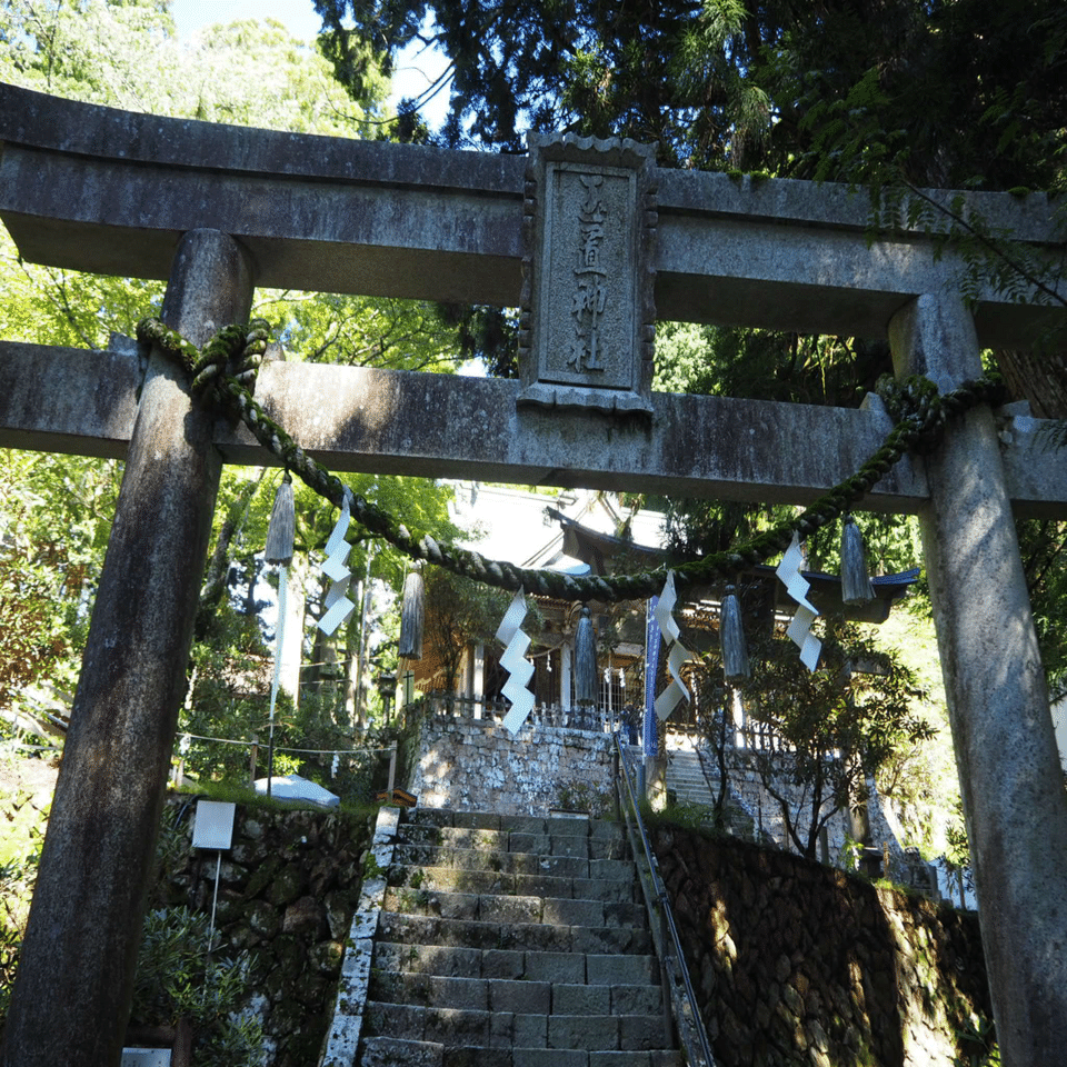 夫婦秋旅】神様に呼ばれないと辿り着けない神社 熊野三社奥之院 玉置