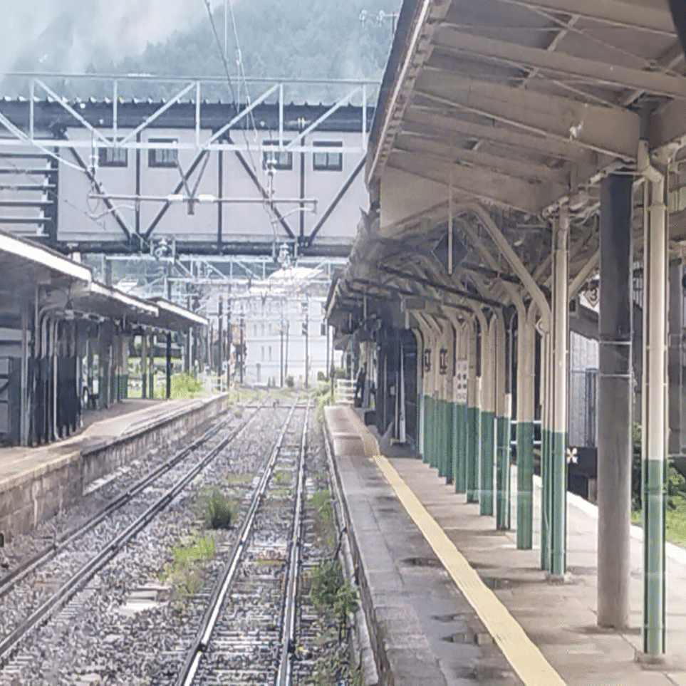 飯田線各駅訪問】94 辰野駅｜線路と鹿