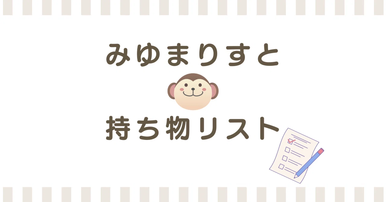 みゆまりすとの持ち物リスト（更新日：2025/3/4） 【ミニマリスト×HSP 