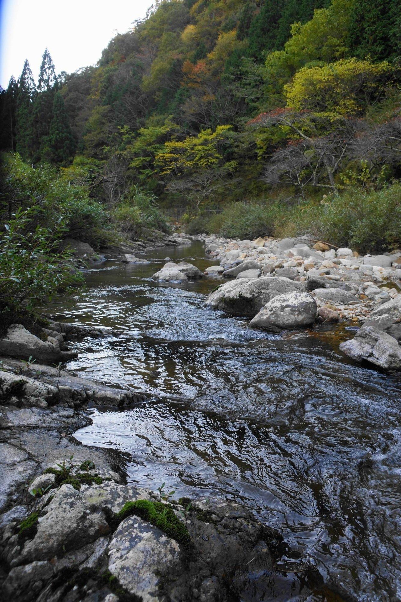 穏やかな川の流れ Ikuchama Note