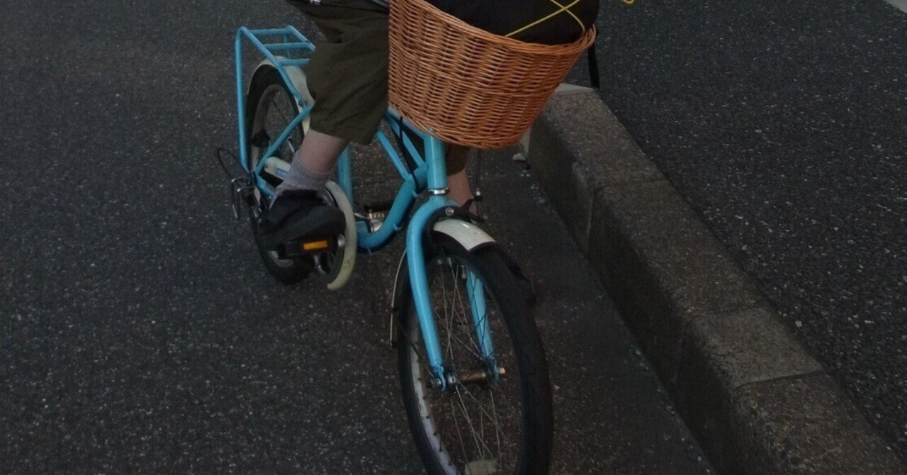 輪行】ミニベロで半径5kmの冒険へ HARRY QUINN AL-FDB207【折り畳み