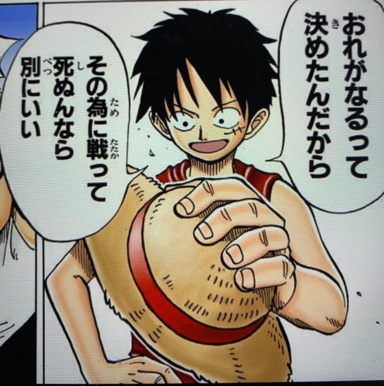One Pieceは人生の教科書 覚悟 山野 礁太 ライター One Piece学 研究家 Note