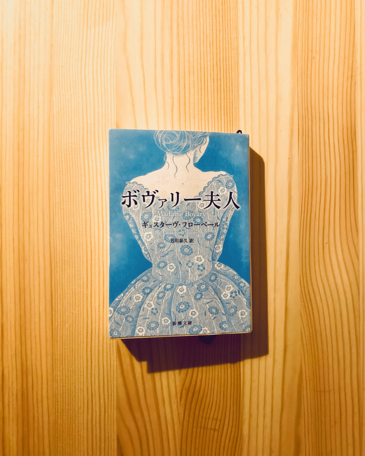 珈琲と文学】ギュスターヴ・フローベール『ボヴァリー夫人』｜あの日の猫背