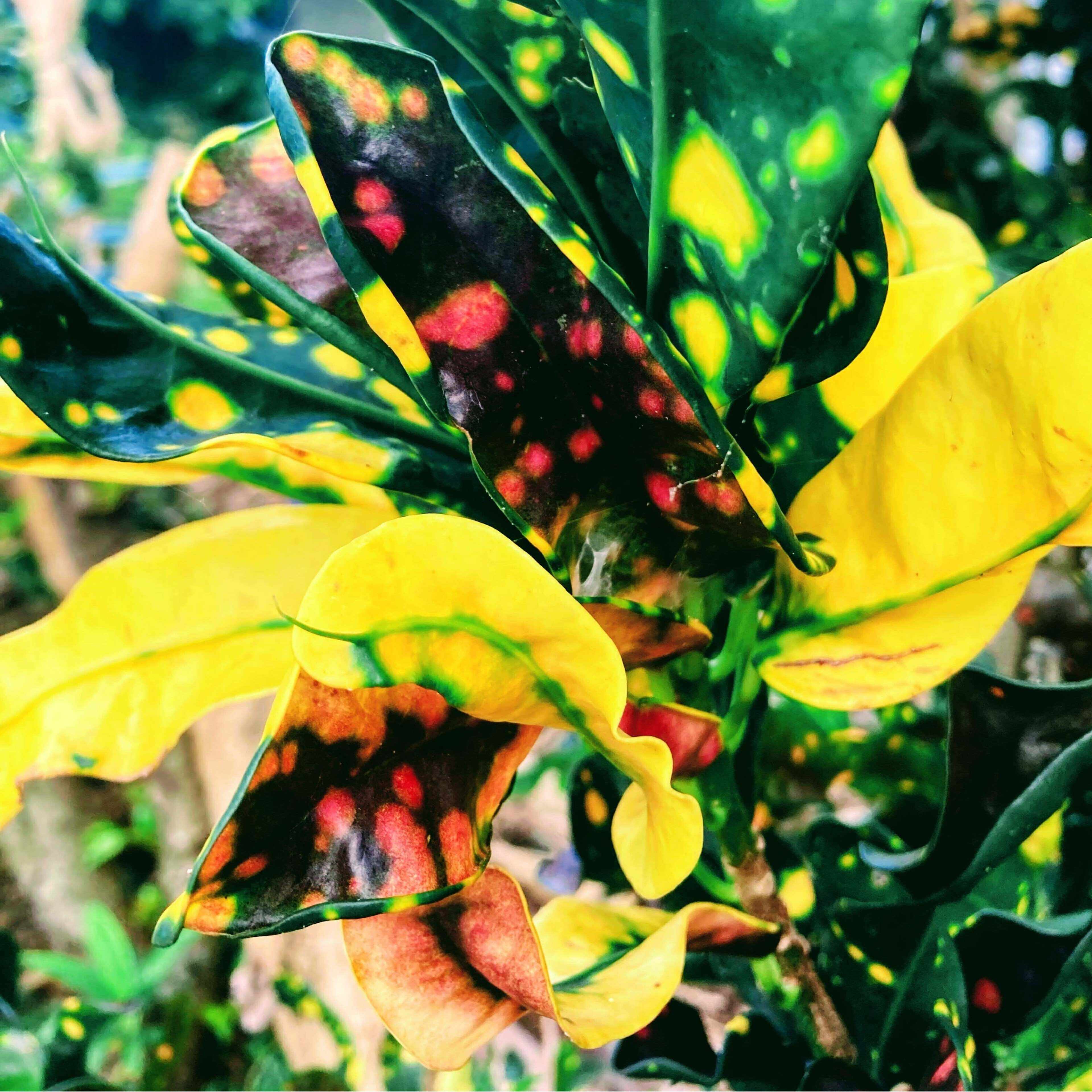 フリーランスライター　落合有紀