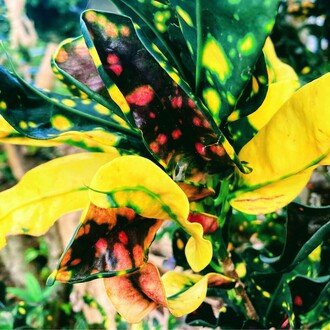 フリーランスライター　落合有紀