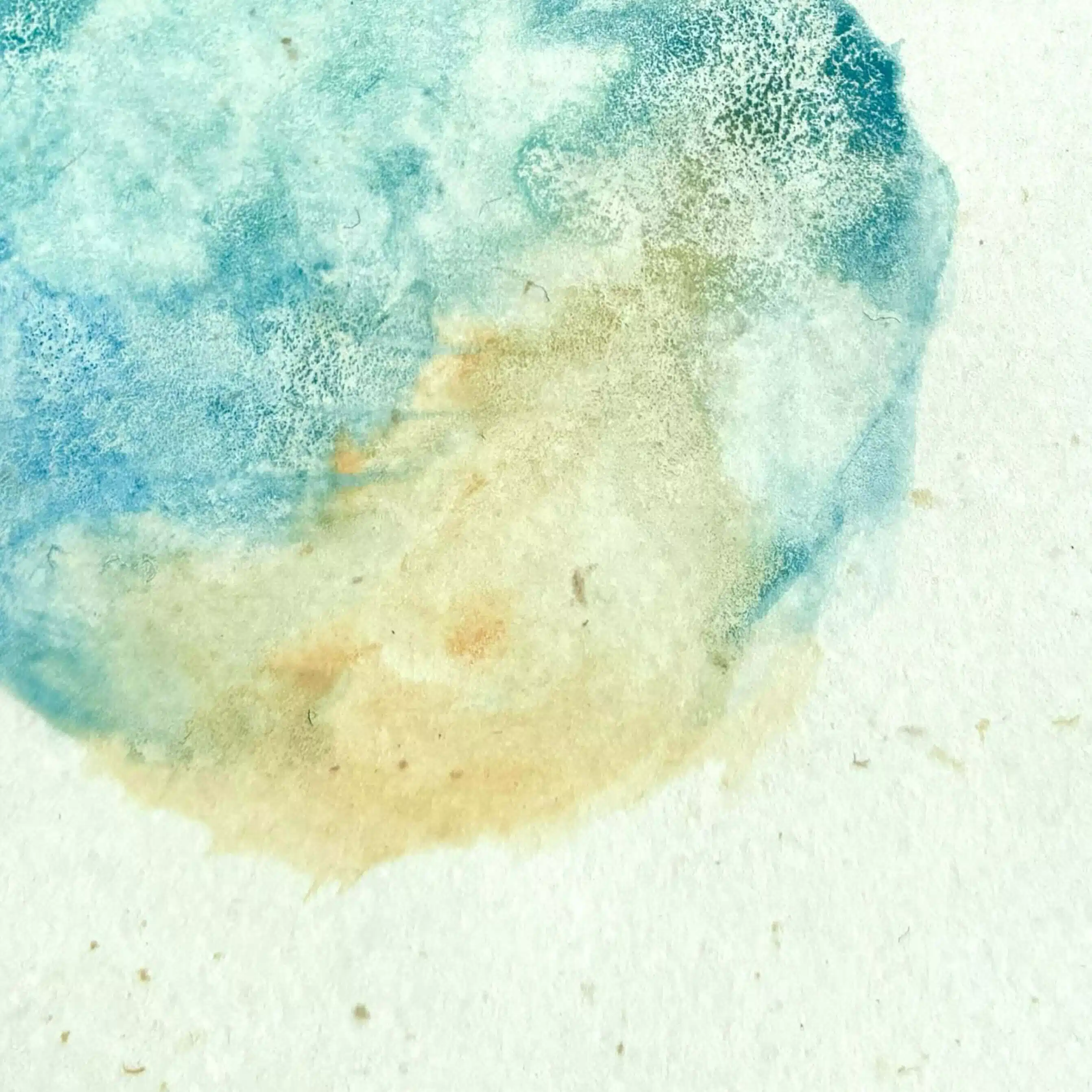 きむ